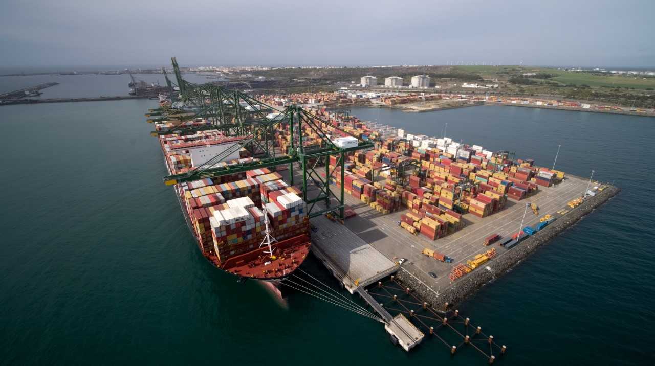 fernando coellho - brokers